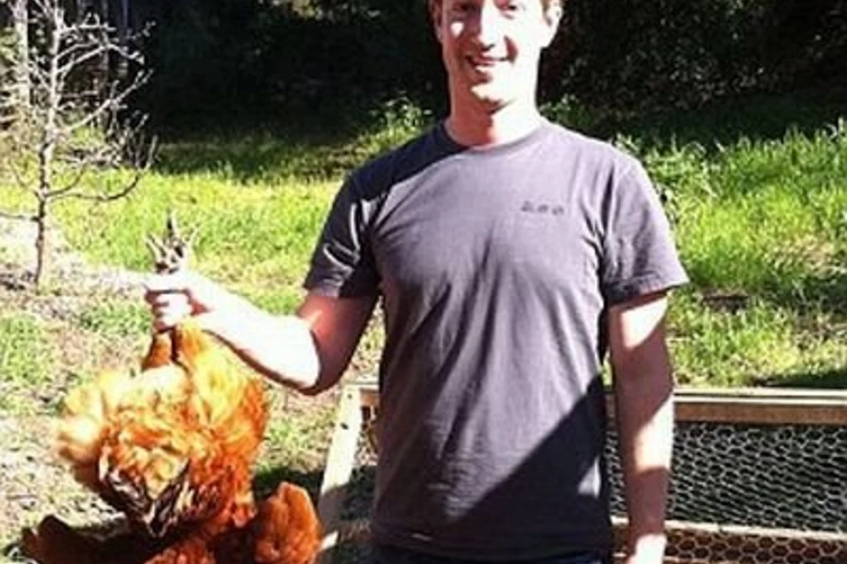 Создатель Facebook сам стал жертвой неисправности своего сайта (14 фото)