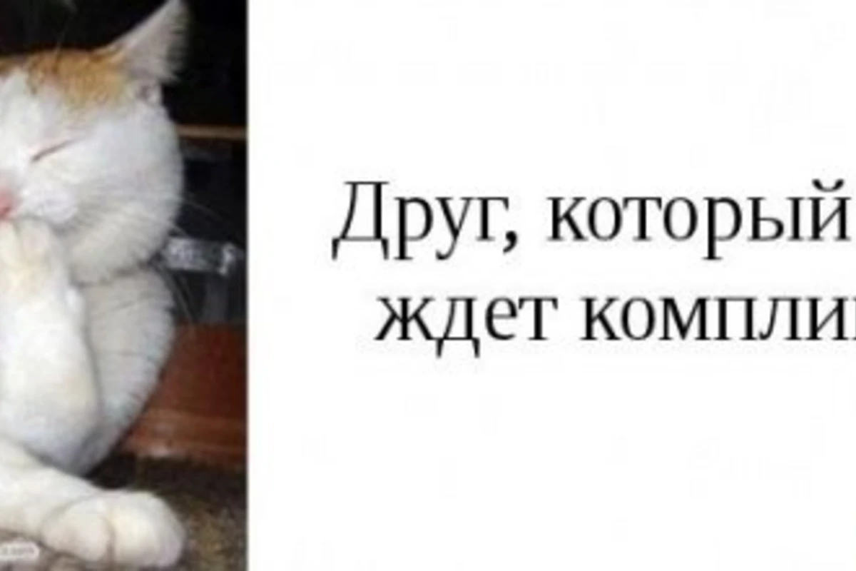 Типы друзей, которые есть у каждого [15 фото]