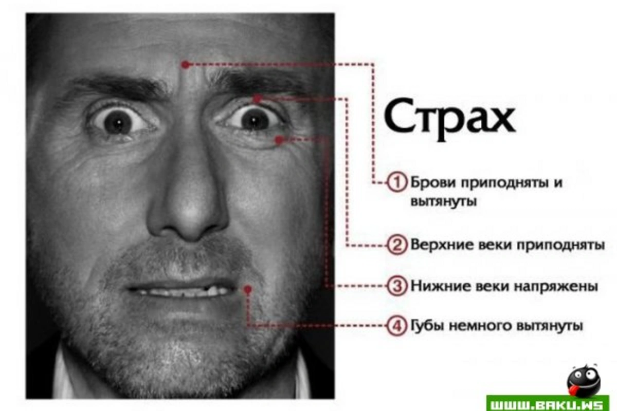 Мимика лица говорит о многом [7 фото]