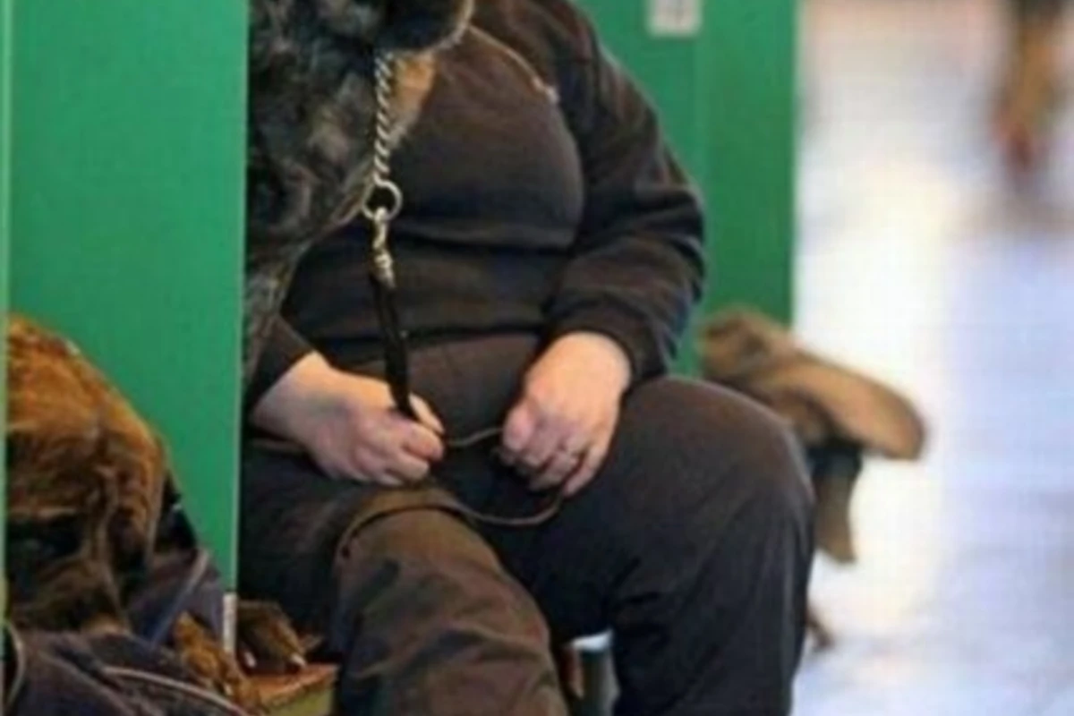 Лови момент или подборка занимательных фотографий