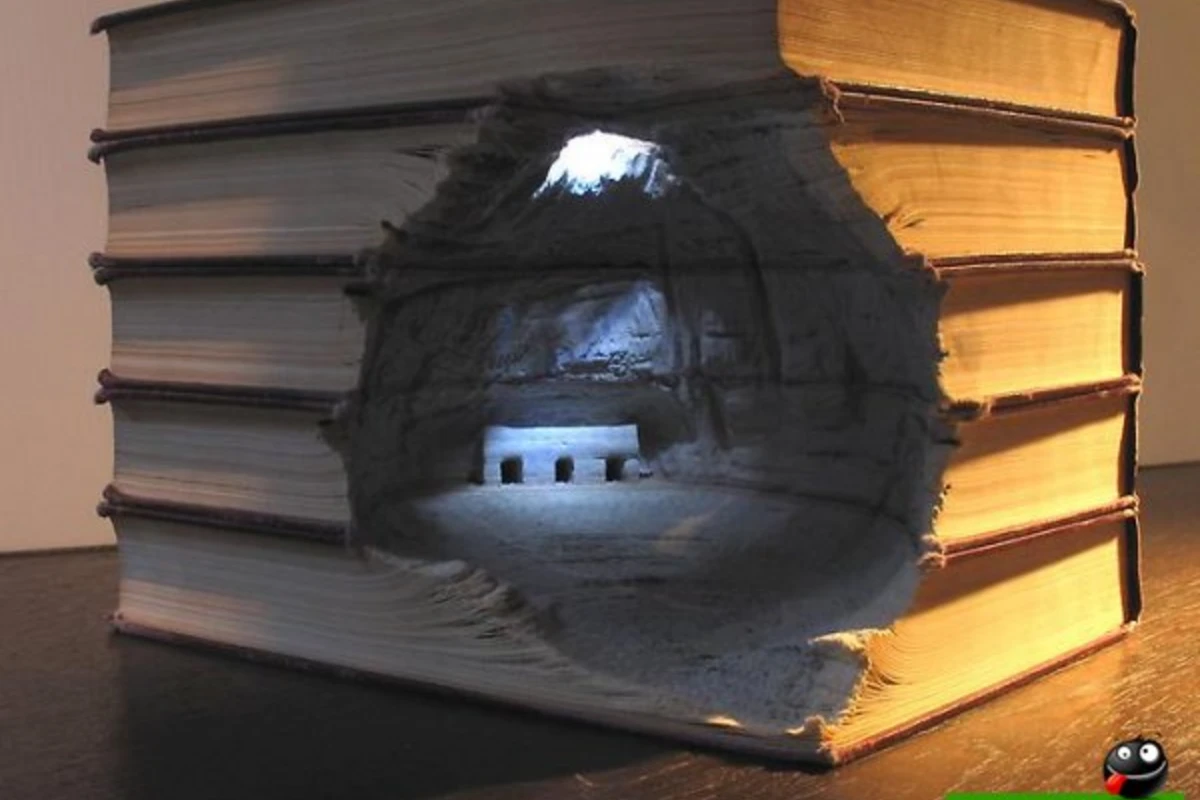 Книжные пейзажи от Гая Ларами