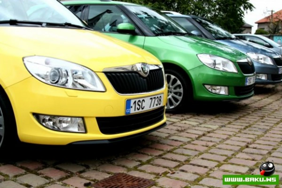 Названы самые привлекательные для птиц цвета автомобилей