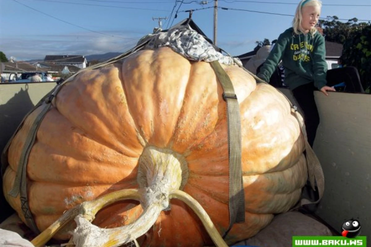09.10.2012 - день в фотографиях