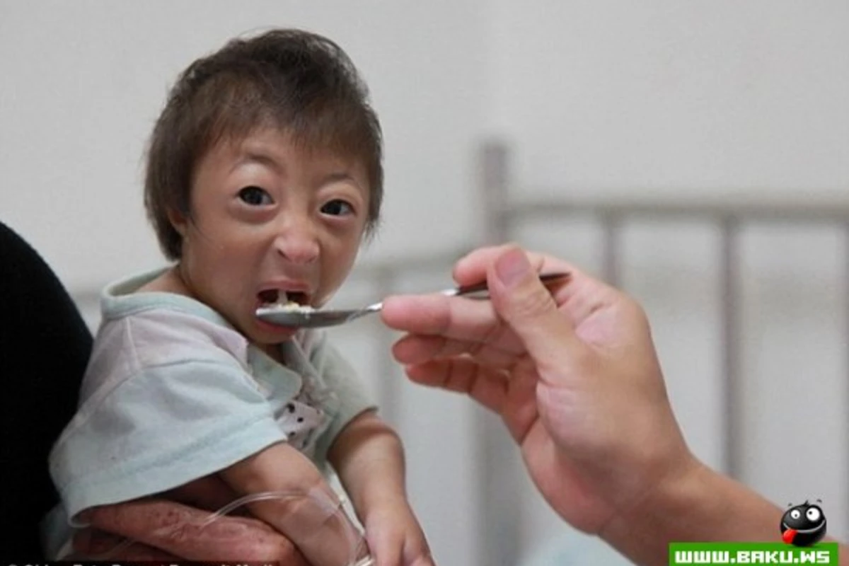 Китайская дюймовочка весит всего 2,5 килограмма