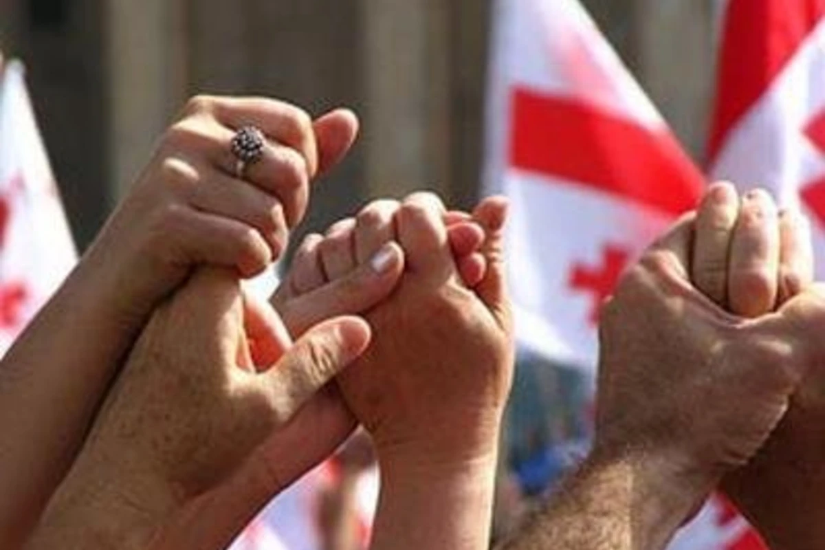 Грузинские азербайджанцы провели акцию протеста перед резиденцией Саакашвили