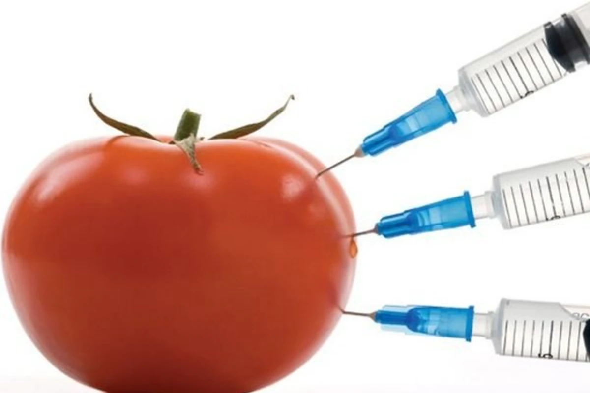 98% продаваемой в Азербайджане соевой продукции содержит ГМО