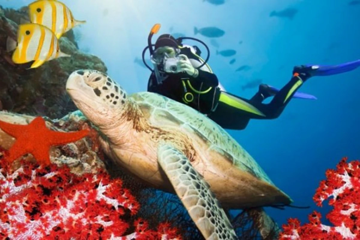 10 самых красивых островов мира