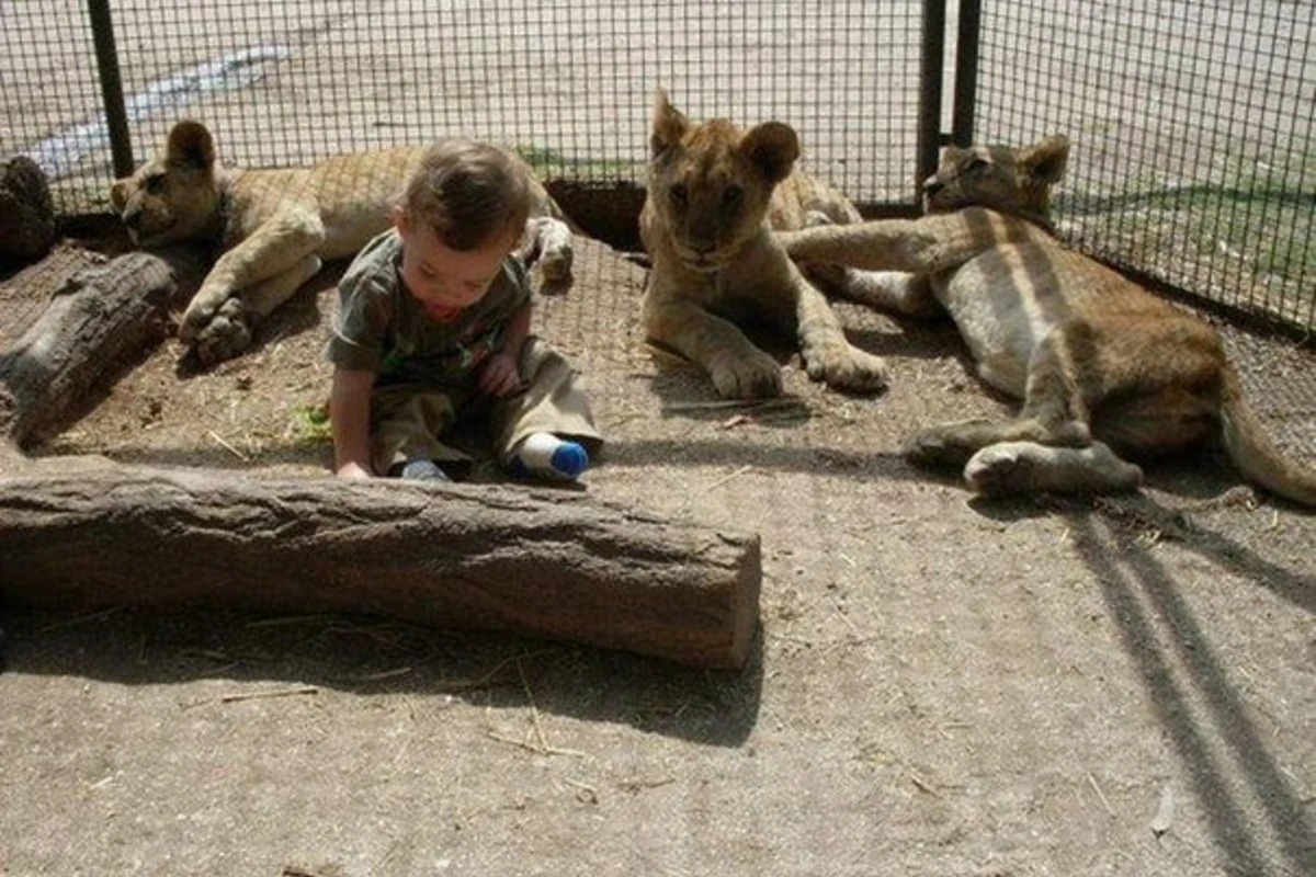 Lujan Zoo - необычный зоопарк