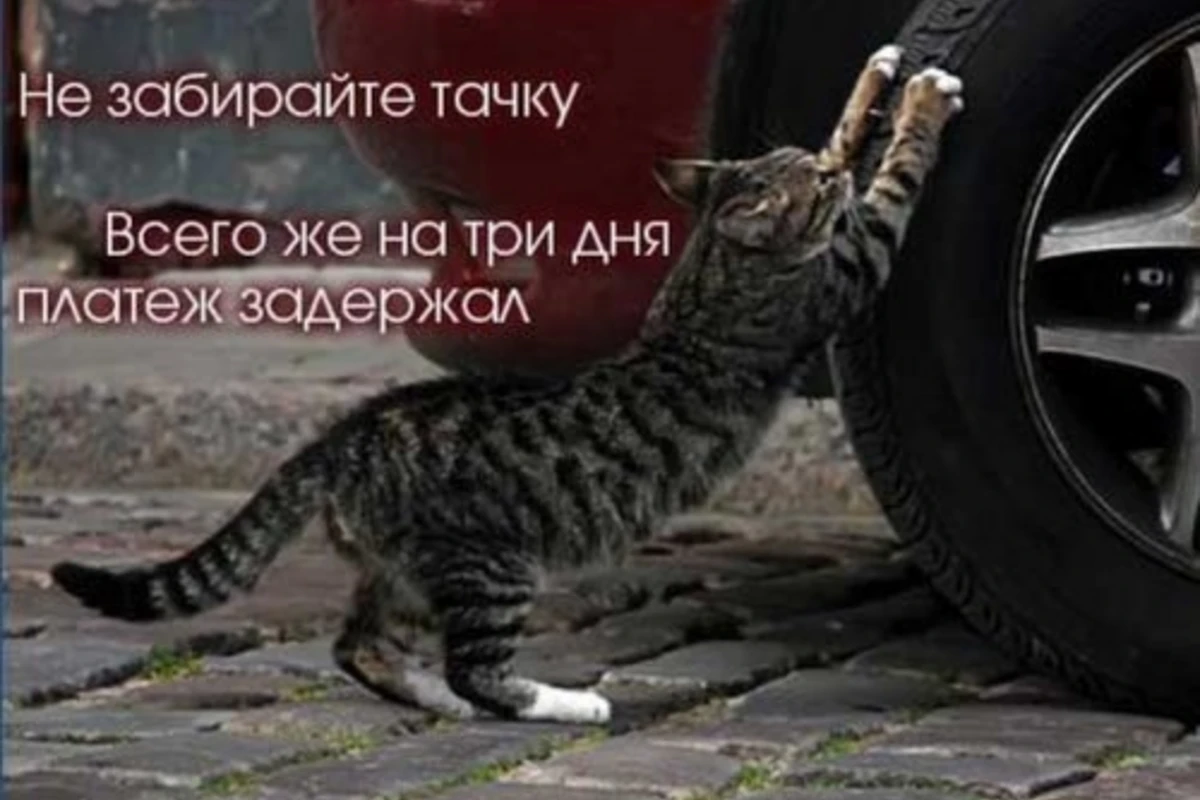 Автомир в прикольных картинках