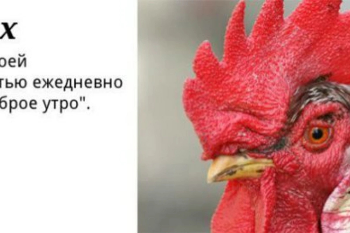 Основные типы пользователей СЦ