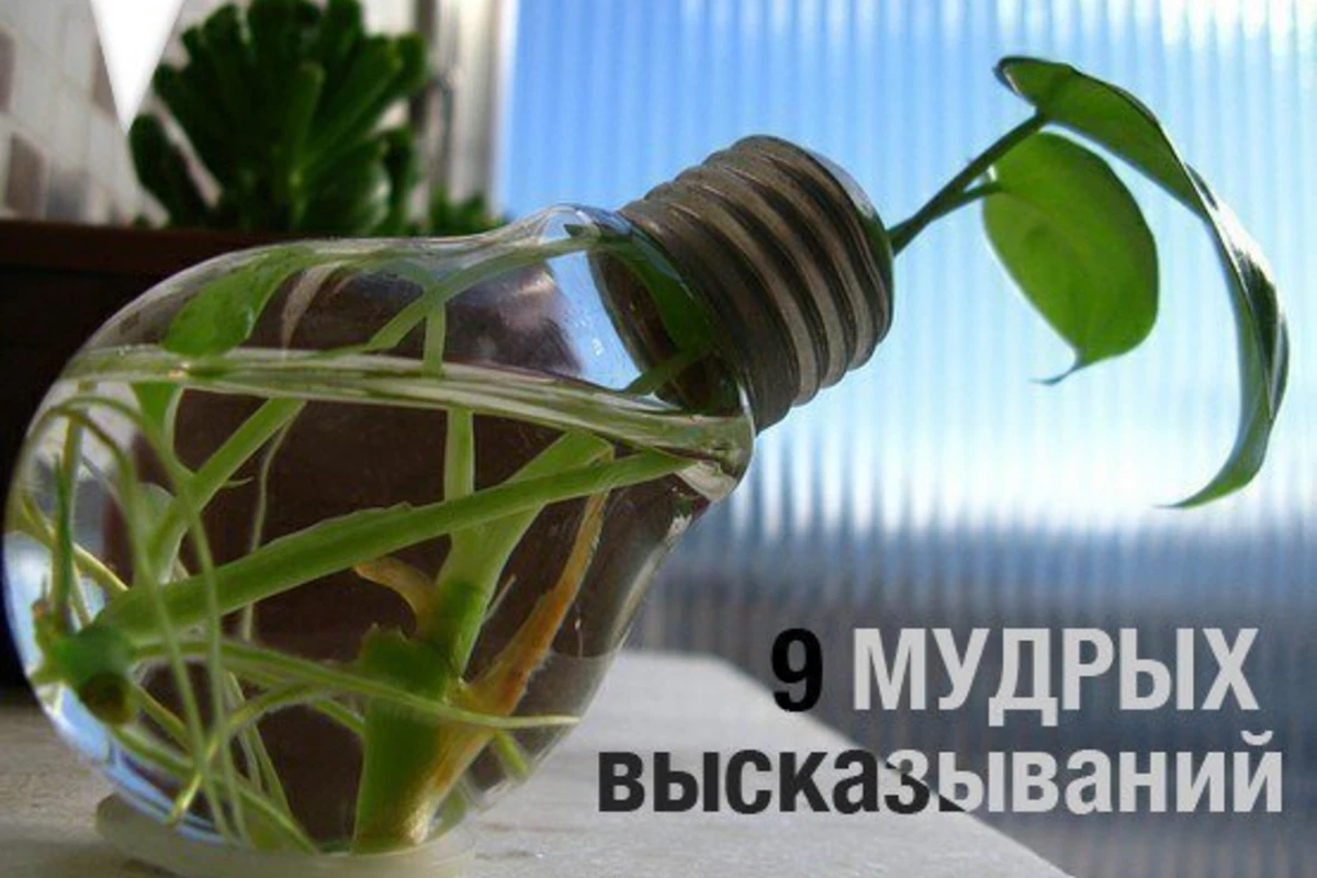 9 мудрых высказываний невероятно успешных людей мира