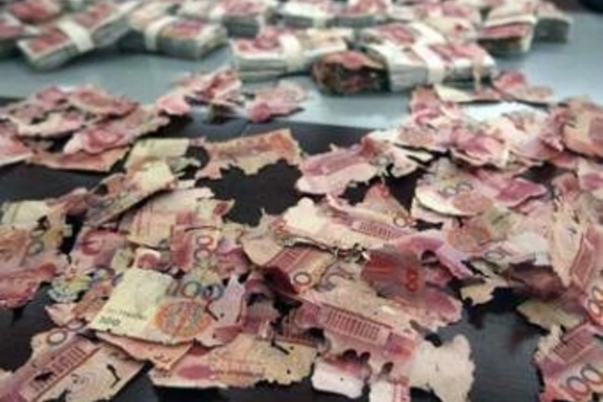 Муравьи съели все сбережения китаянки
