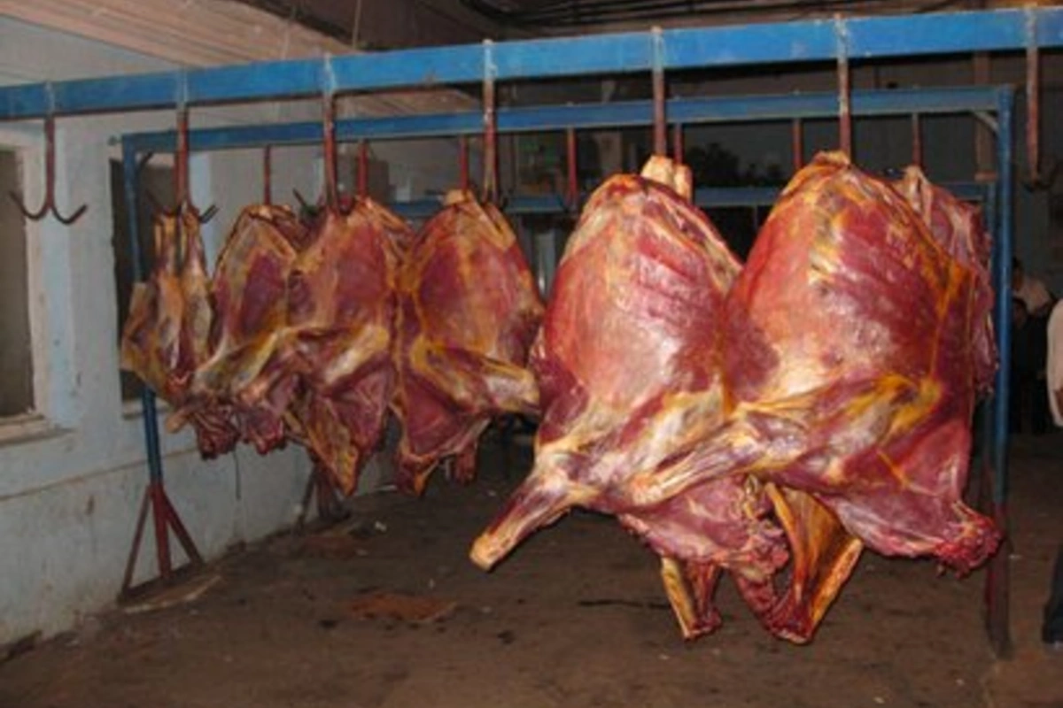В абшеронском поселке обнаружено мясо неизвестного происхождения