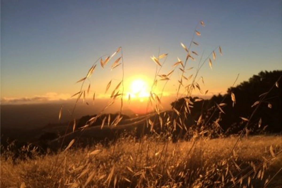 Опубликованы примеры фотографий, снятых на iPhone 5S