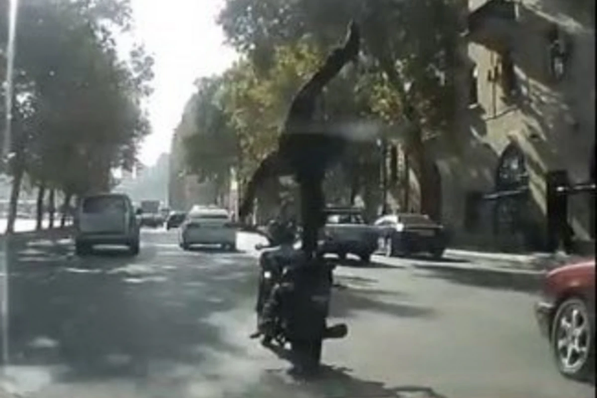 Трюки мотоциклиста на дороге в Баку (видео)