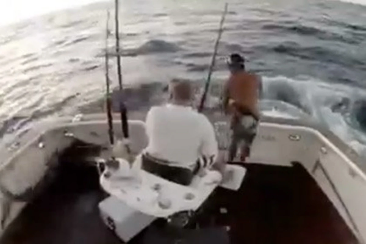 Марлин выгнал рыбака из лодки (видео) Марлин выгнал рыбака из лодки (видео)