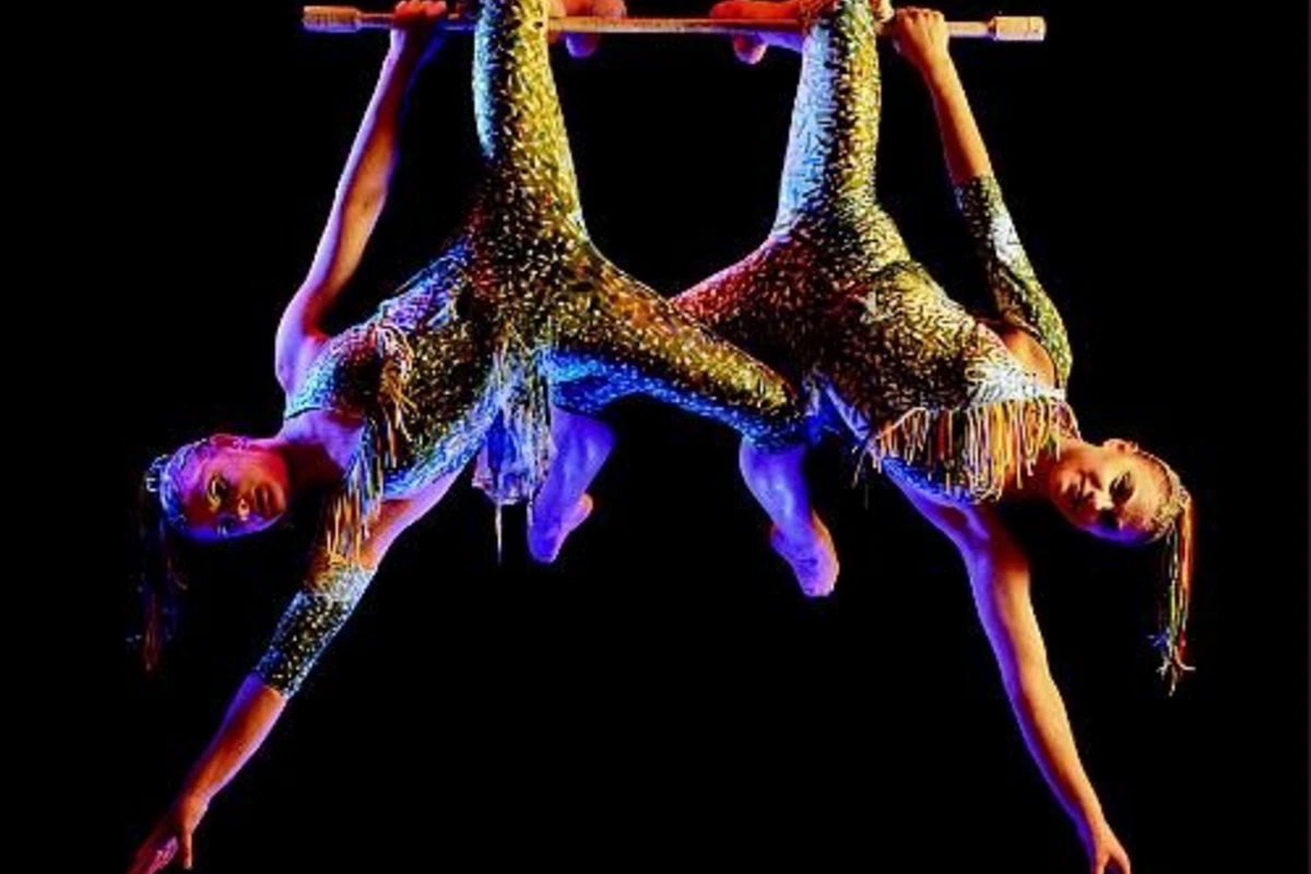 Знаменитый Cirque du Soleil оштрафовали на 25 тысяч долларов