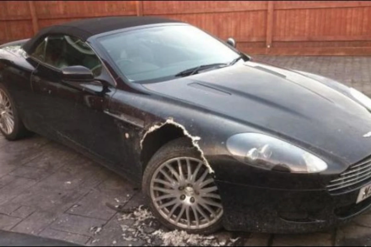 Собака погрызла дорогостоящий Aston Martin