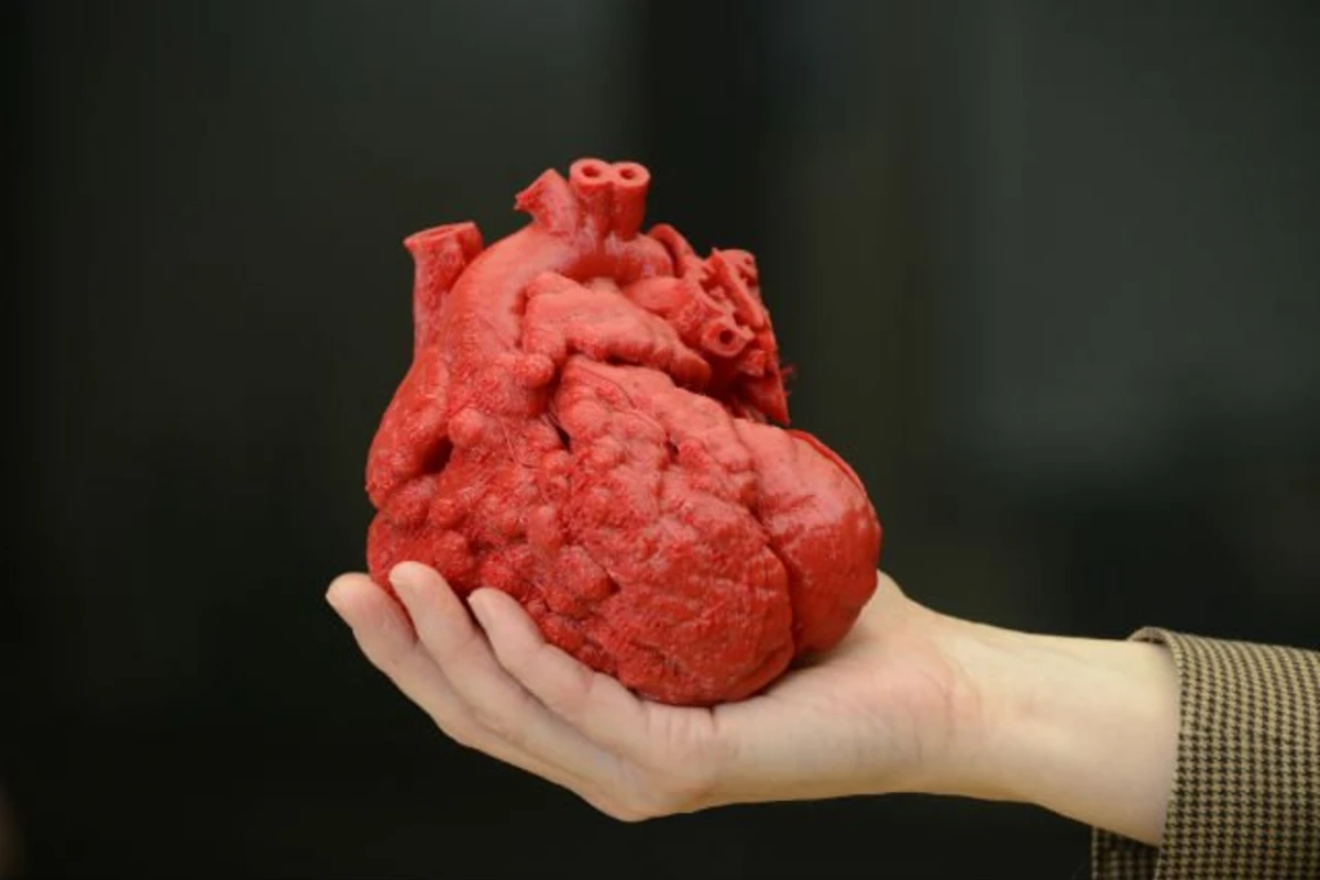 Медики напечатали на 3D-принтере модель сердца для спасения ребёнка