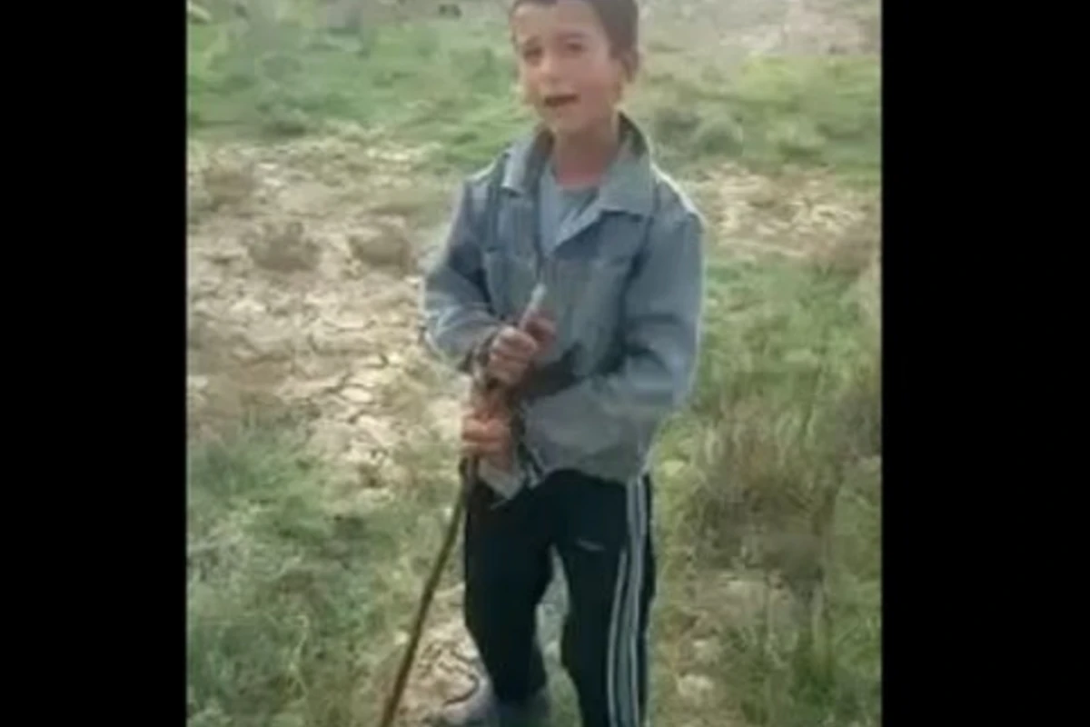 Самый талантливый пастух в Азербайджане (видео)