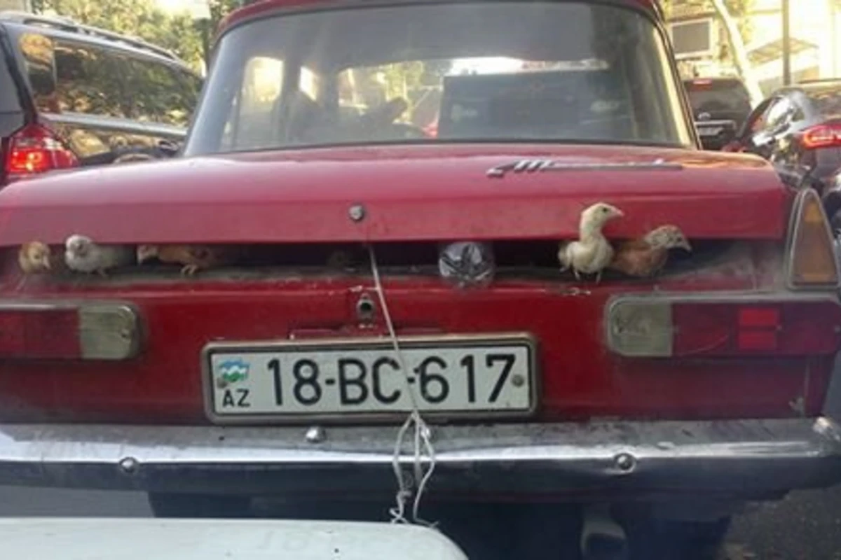 Курьезный случай в пробке в Баку