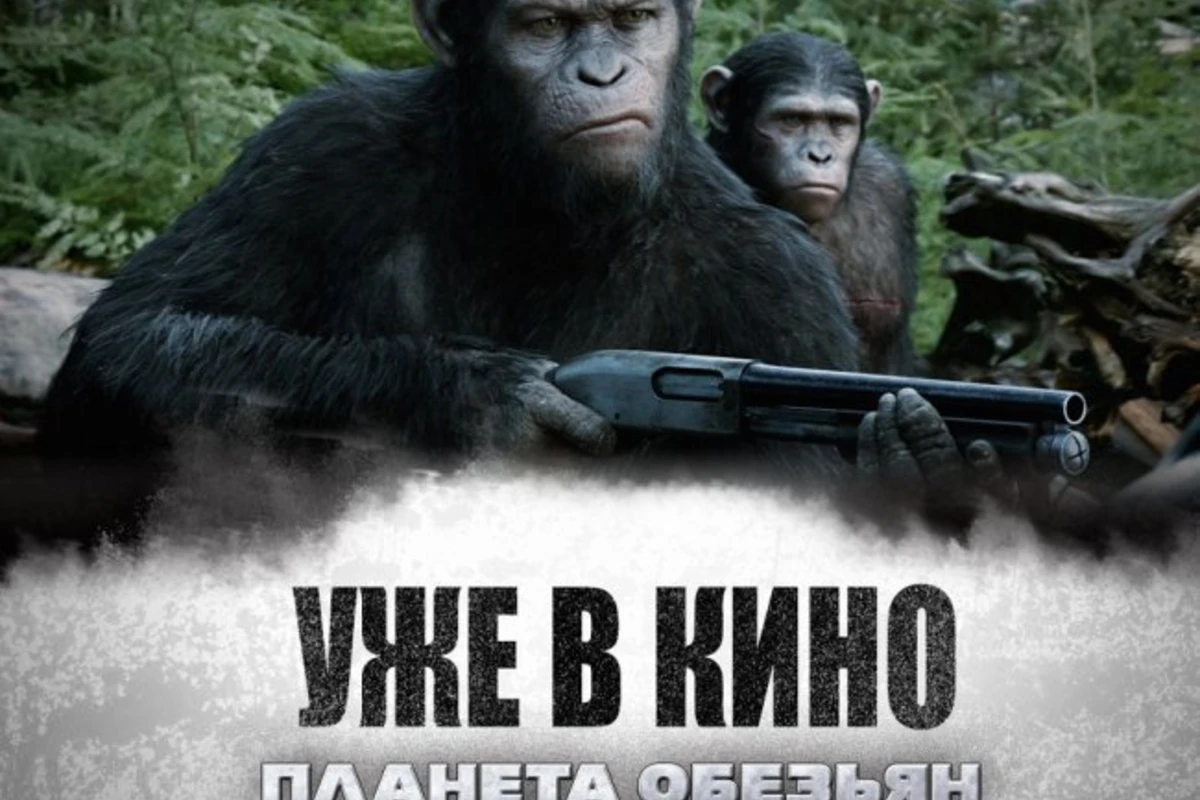 Планета обезьян : революция»  - Фильм который бьет рекорды посещаемости бакинских кинотеатров