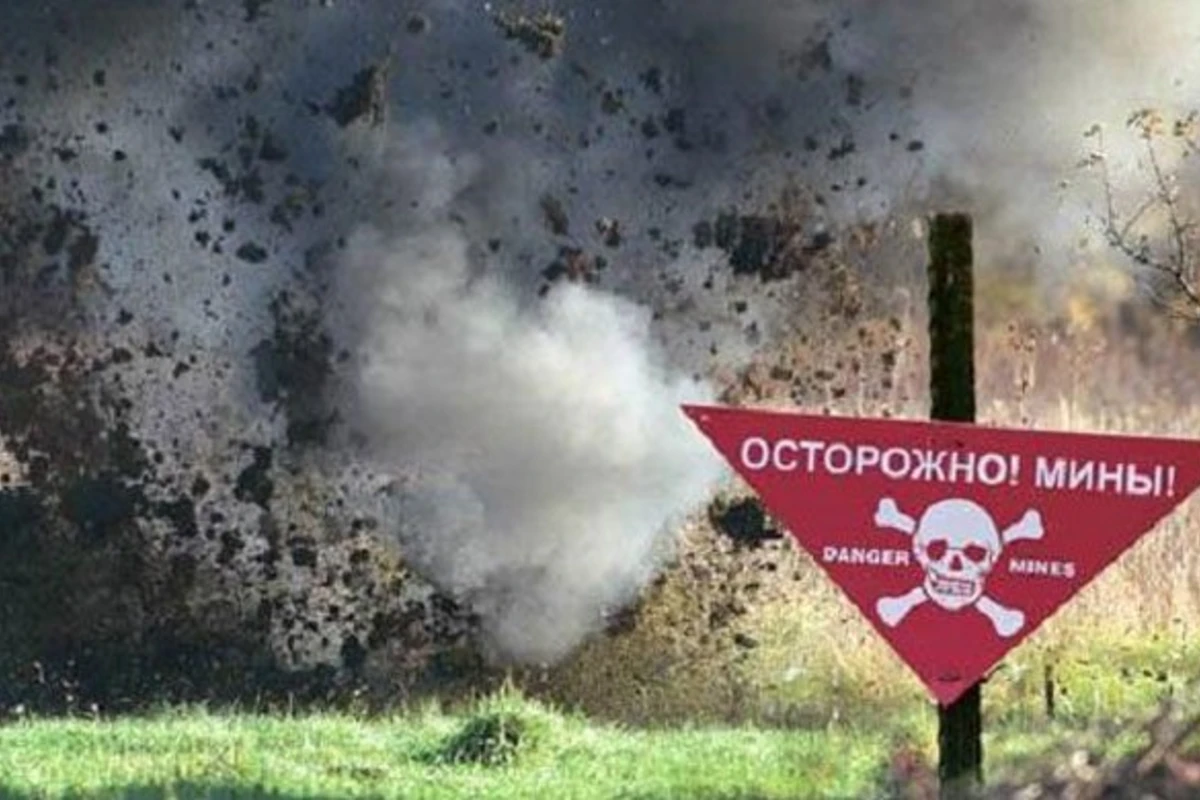 В Донецкой области на мине подорвались 9 детей