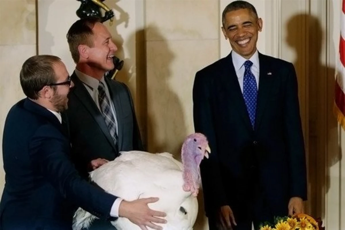 Обама “помиловал” индеек, доставленных к Дню благодарения