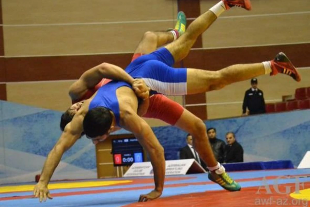 В Баку состоялся чемпионат Азербайджана по борьбе