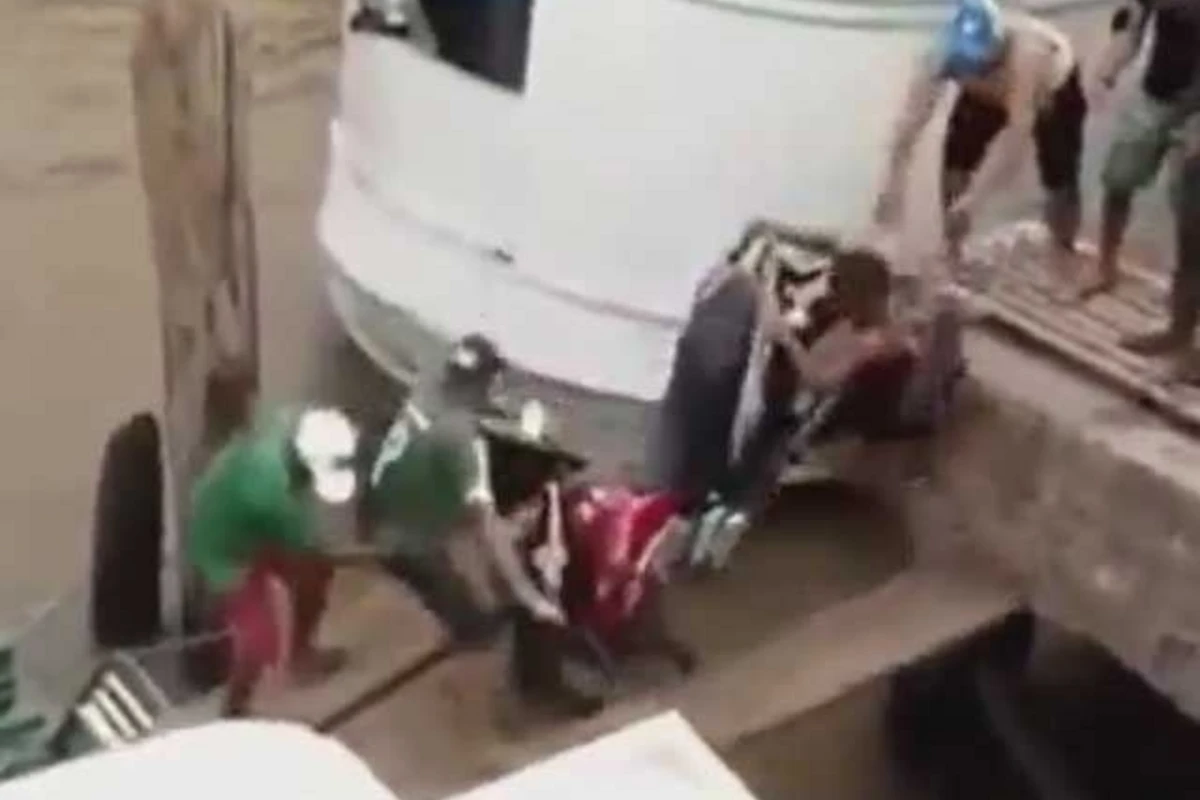 Две дюжины мозгов не рассчитывали на такой конец (видео)