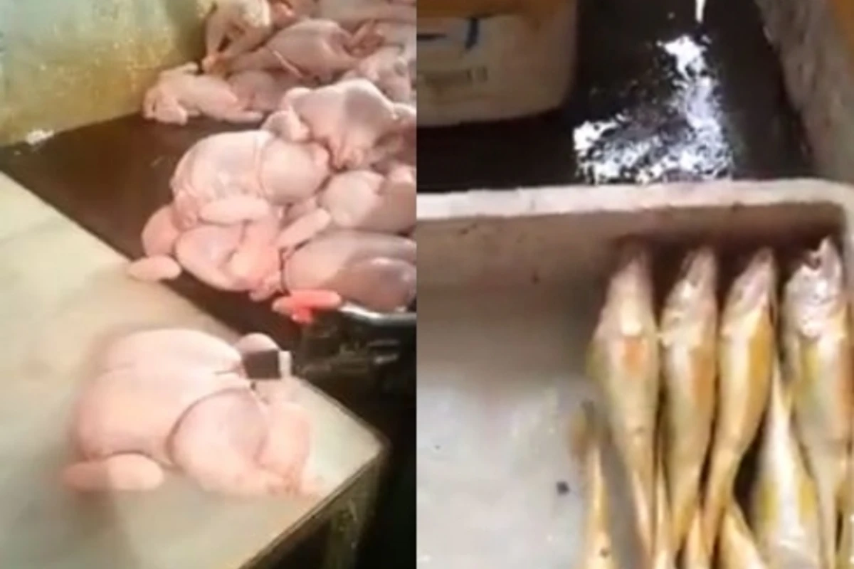 Шокирующие кадры: на рынке накаченные рыбы не уступают курицам (видео)