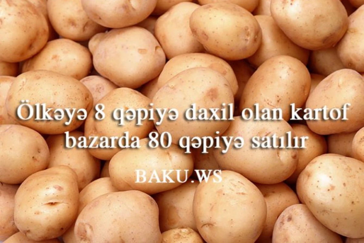 Azərbaycana 8 qəpiyə daxil olan kartof bazarda 80 qəpiyə satılır