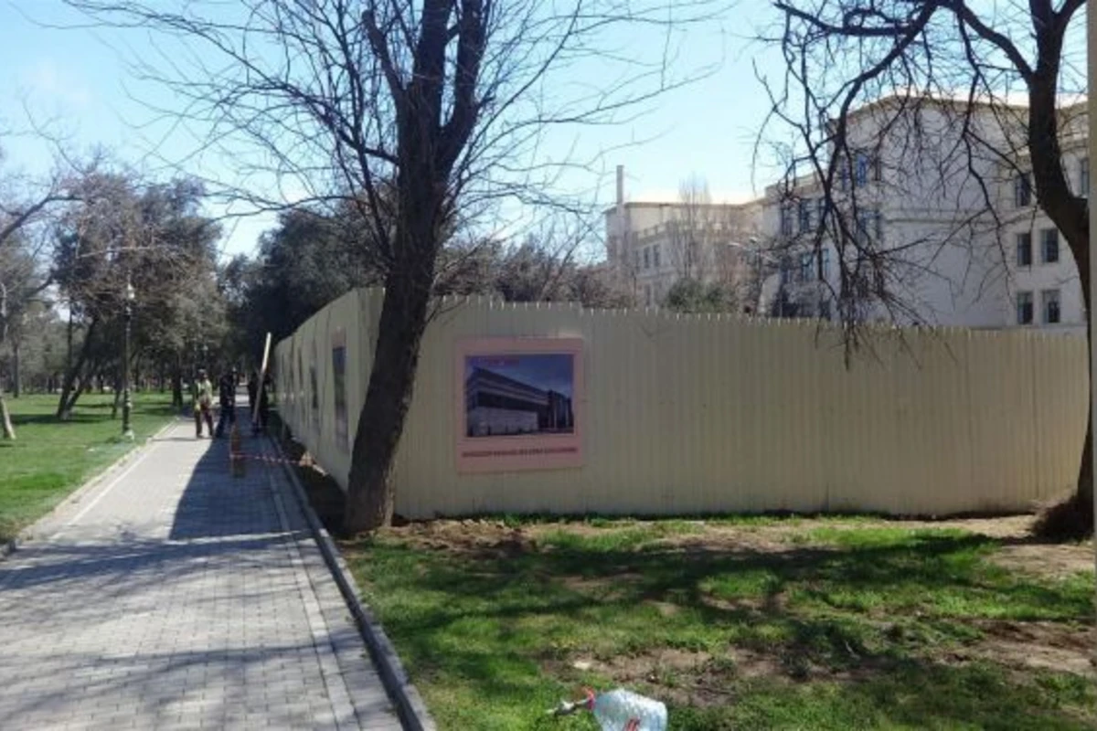 Сотрудника «Азеришыг» наказали за поврежденные деревья в парке Зорге