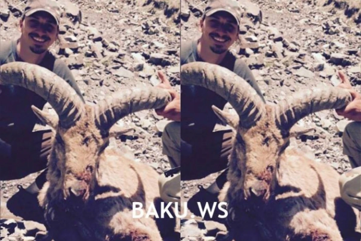 Златан Ибрагимович вслед за арабскими шейхами поохотился в Азербайджане (видео) Златан Ибрагимович вслед за арабскими шейхами поохотился в Азербайджане (видео)