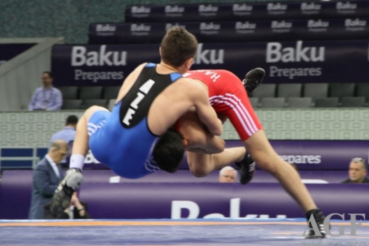 Азербайджанский борец стал чемпионом Европы, победив соперника из Армении