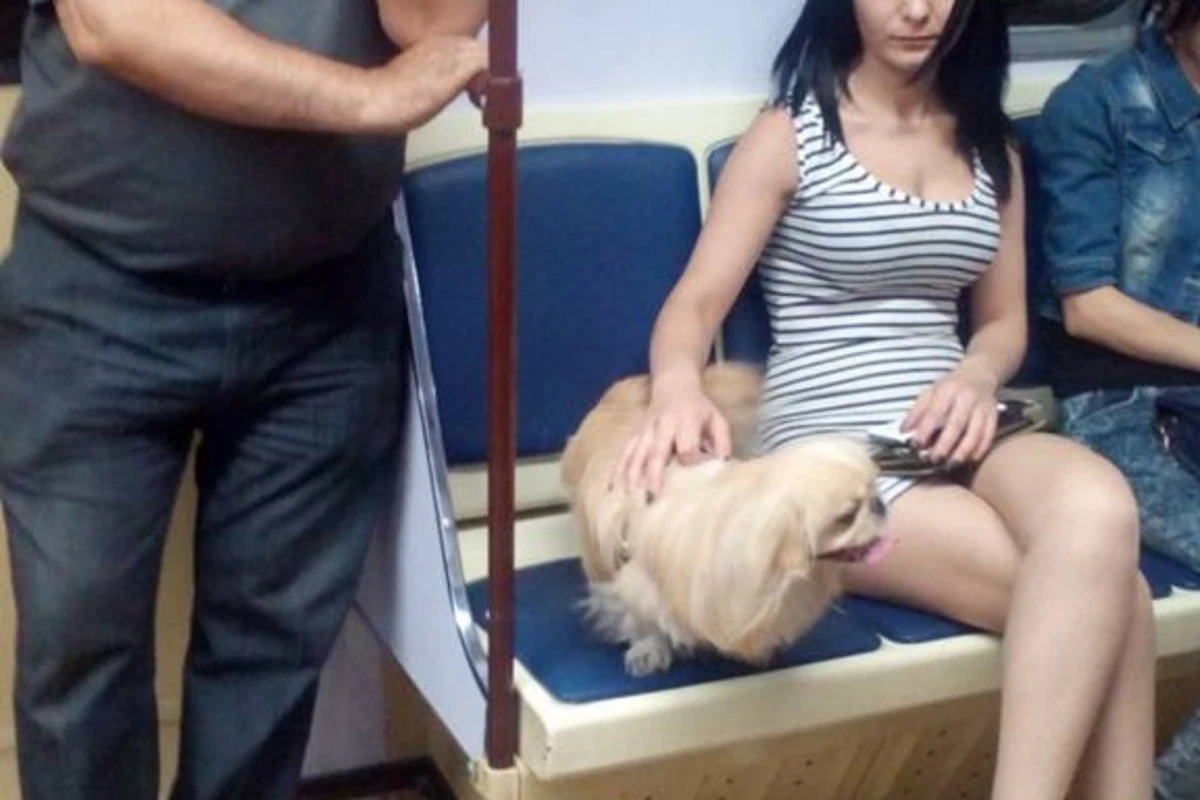 Sosial şəbəkənin ulduzuna çevrilmiş qızdan açıqlama (FOTO) Sosial şəbəkənin ulduzuna çevrilmiş qızdan açıqlama (FOTO)