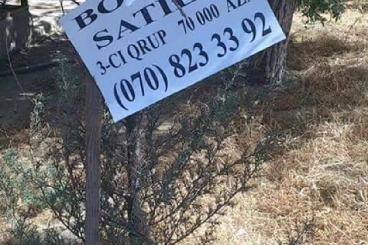 На улицах Баку торгуют человеческими почками