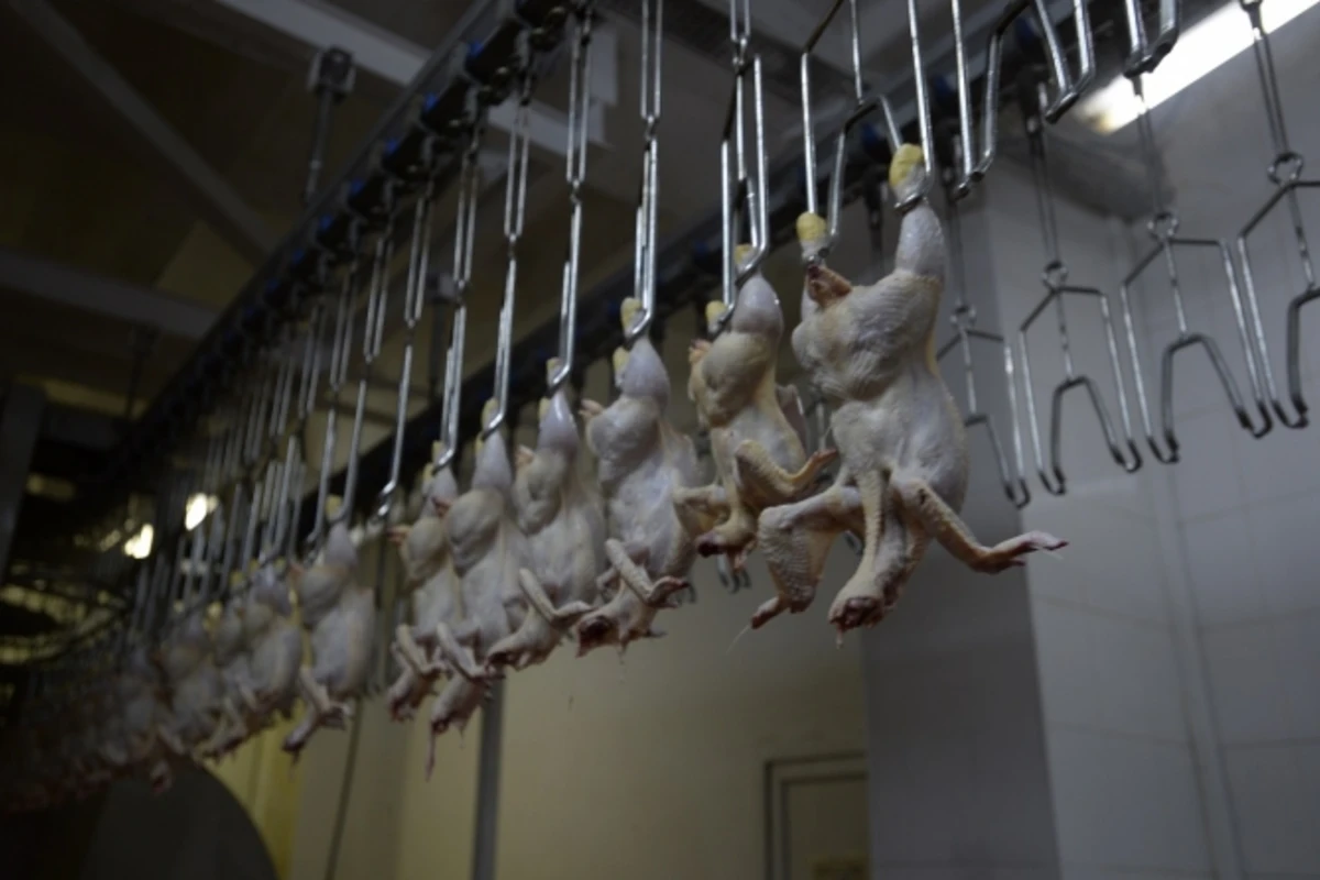 Халяльна ли продукция Seba на самом деле?