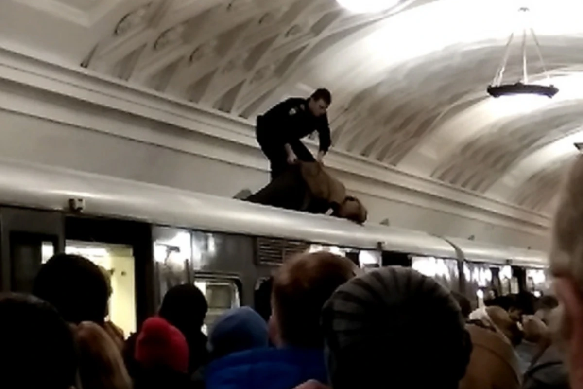 В московском метро погибла прыгнувшая на крышу поезда пенсионерка (видео)