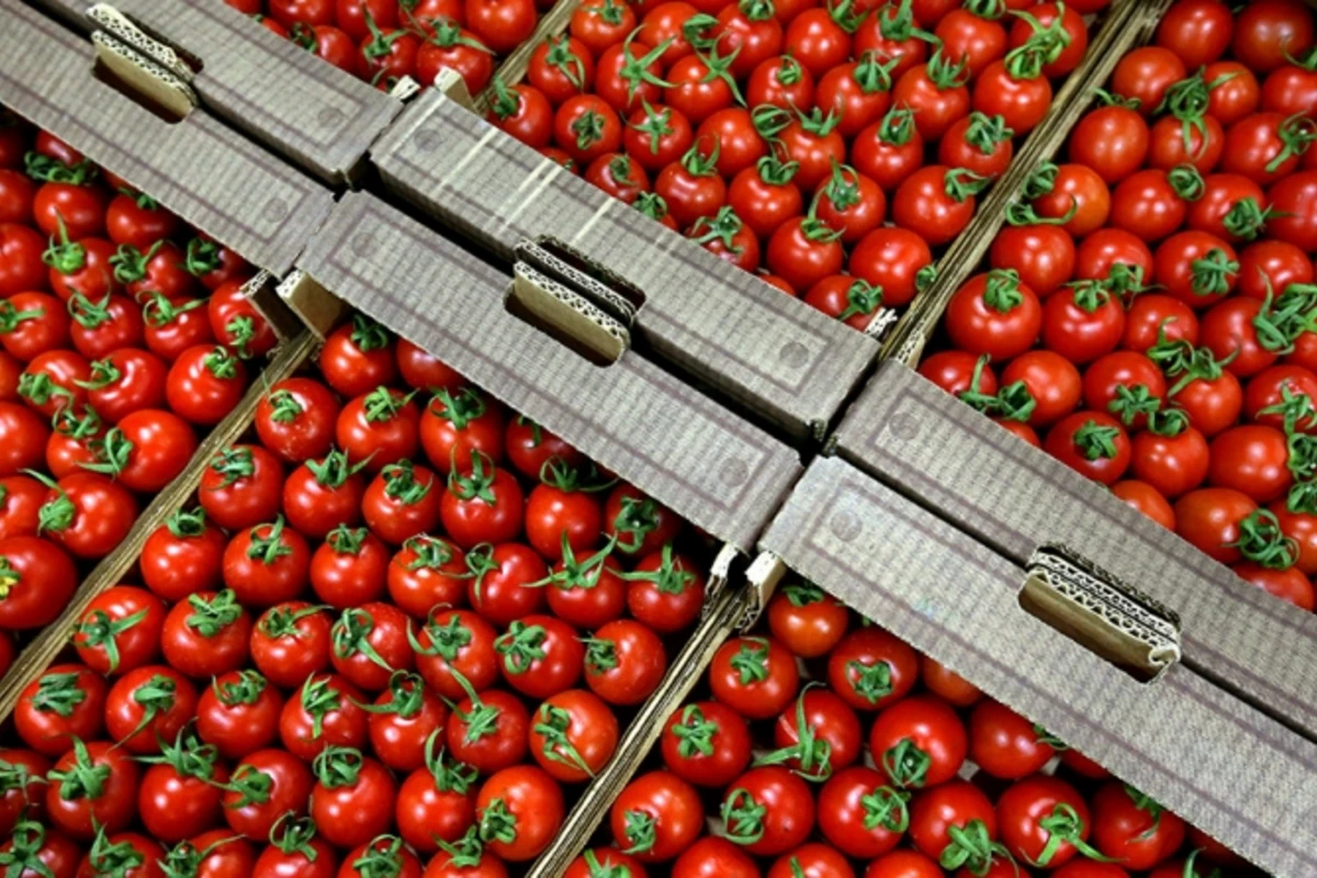 Турецкие овощи и фрукты в московских магазинах заменят продукты из Азербайджана