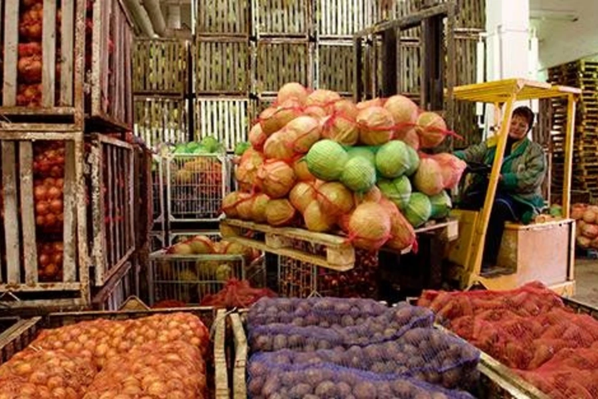 Опубликован список запрещенных в России турецких продуктов