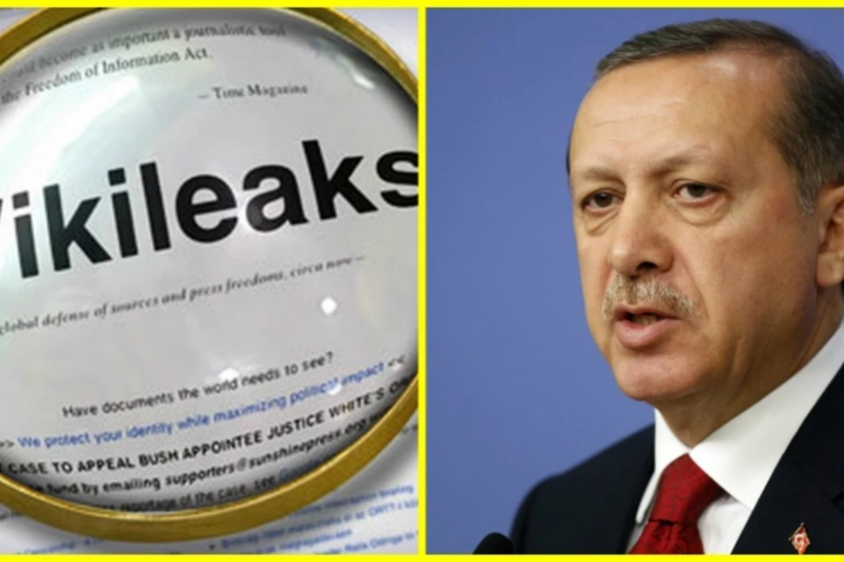 WikiLeaks: Турция готовила атаку на российские самолёты еще в октябре (видео)