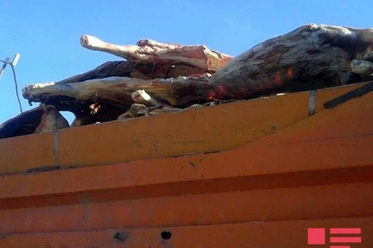 В Азербайджане уничтожено 20 тонн некачественного мяса