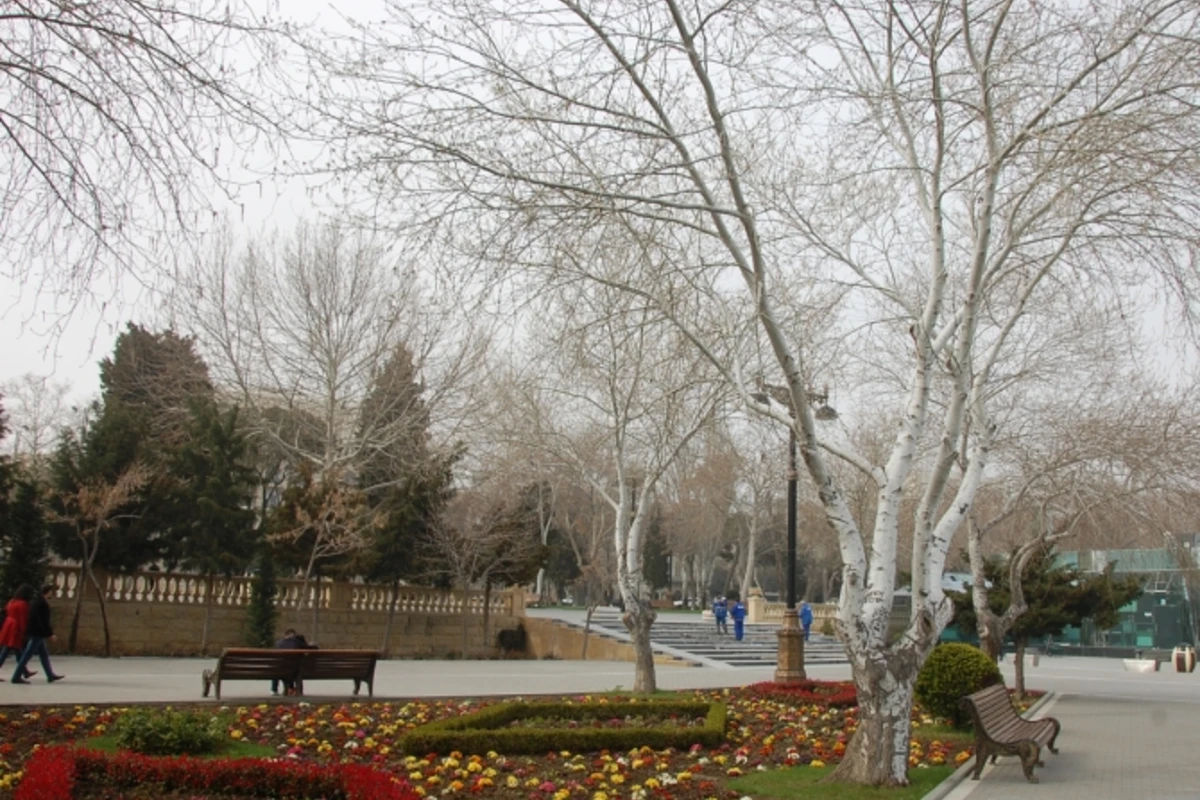 Обнародован прогноз погоды в Азербайджане на завтра