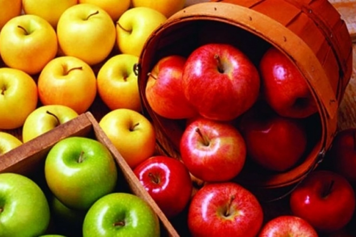 Fermerlər məhsullarını niyə sata bilmir?