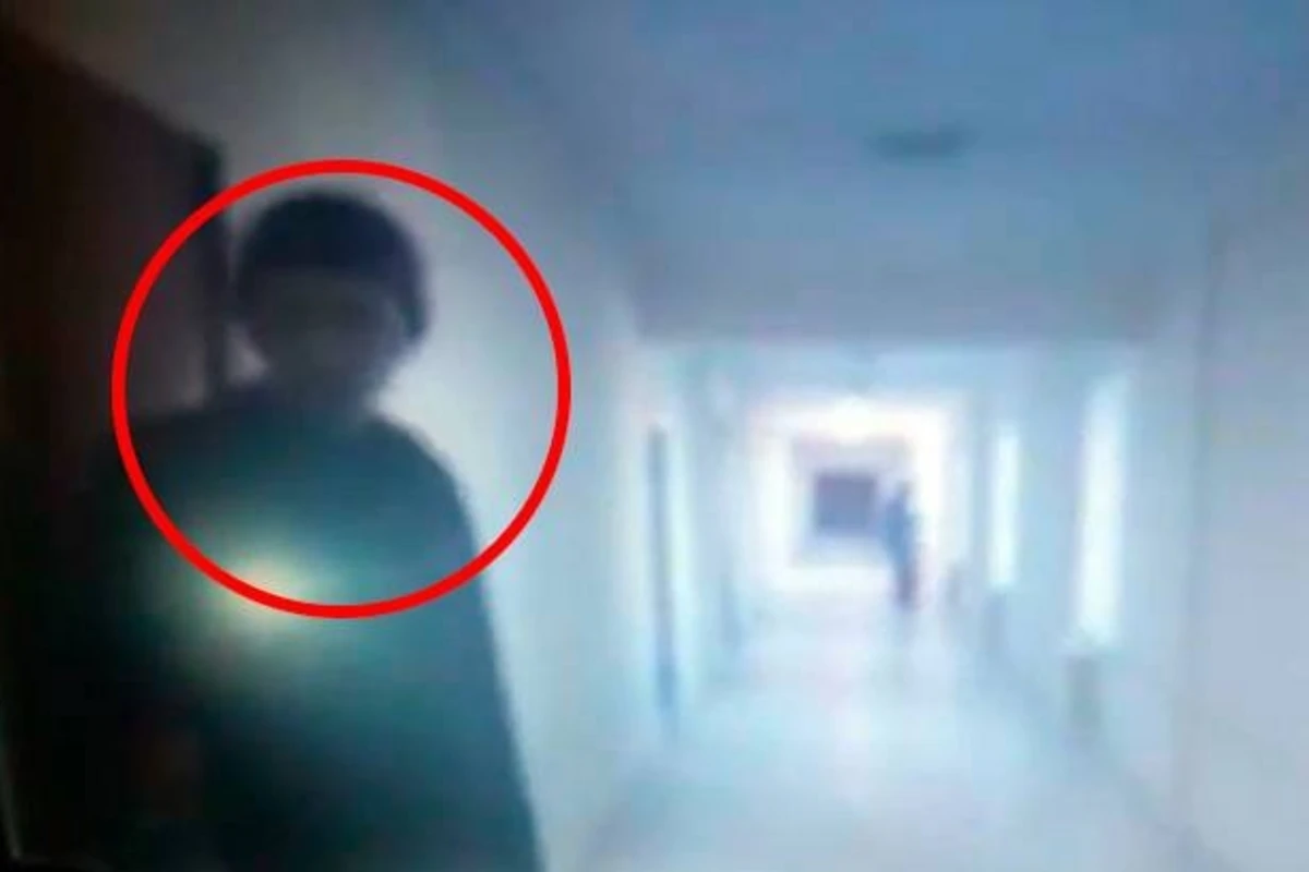 Опубликованы новые кадры цветочных воров, орудующих в Баку (видео)