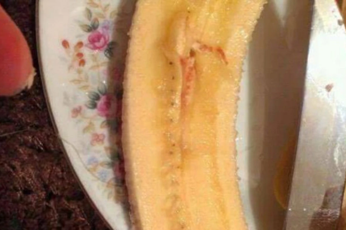 Azərbaycanda satılan bananlarda qan ləkəsinin olması iddiasına rəsmi cavab Azərbaycanda satılan bananlarda qan ləkəsinin olması iddiasına rəsmi cavab