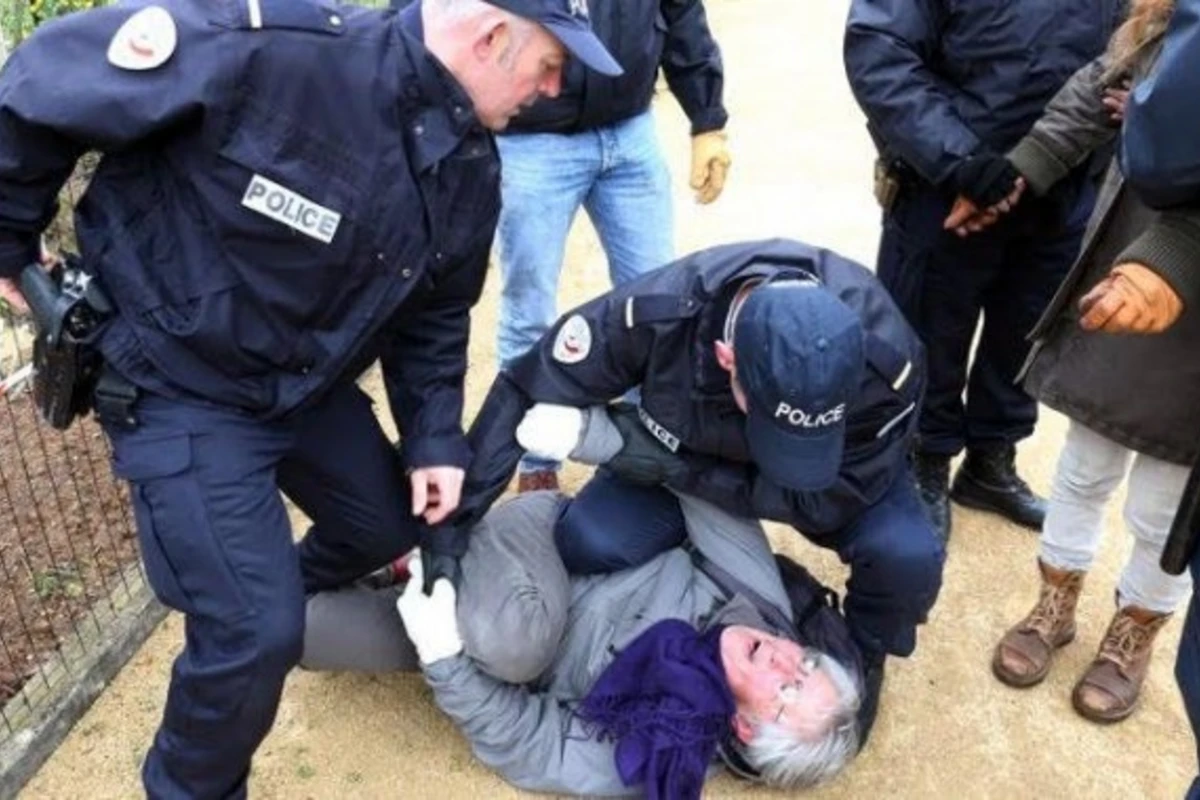 Опубликованы кадры жестокого обращения полиции с 72-летней женщиной (видео)