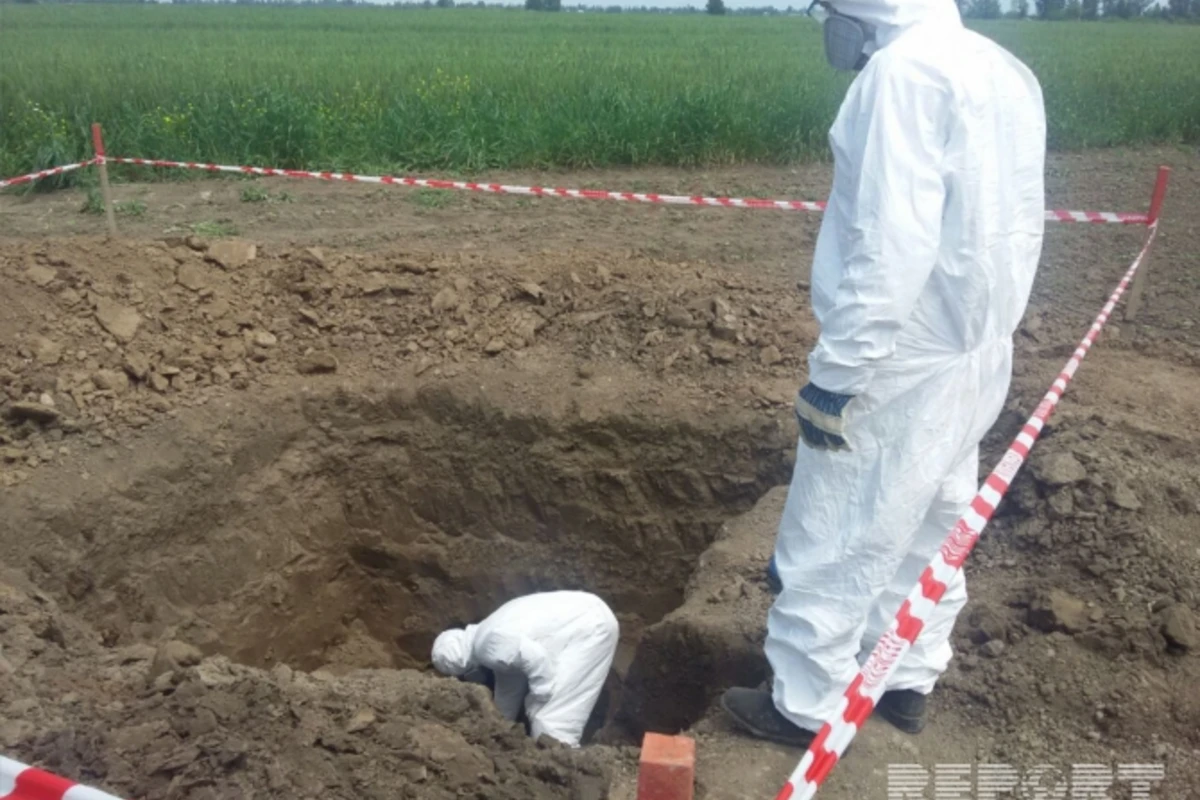В Тертере на 17 жилых пунктов сброшено свыше 280 снарядов (фото, видео)