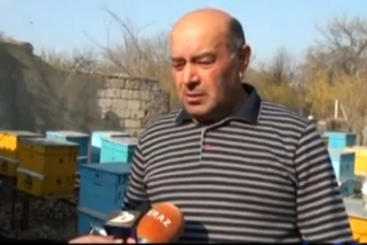 Arı pətəyində dini sözlərin peyda olmasının sirri açıldı (VİDEO)